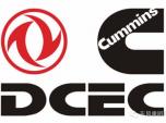 |L˹㲿 αec