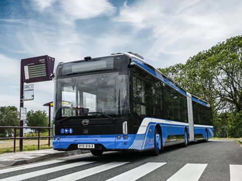 �yȫ�W��늄�(d��ng)��ͼ������ȁ�������2025�����r(sh��)܇չ