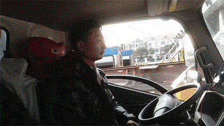 image033.gif