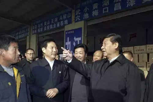 175487.jpg