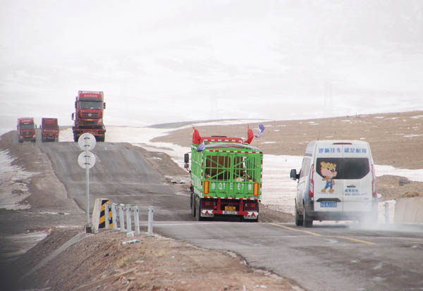 image011.jpg