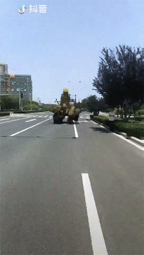 D12.gif