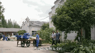 4.gif