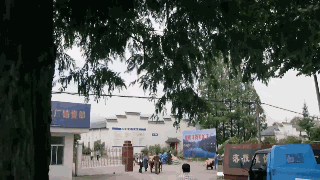 3.gif