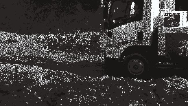 image004.gif