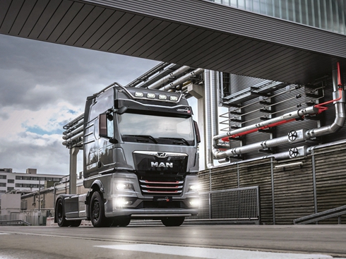TGX Individual Lion S s@{ux
