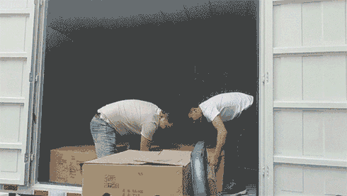 4.gif