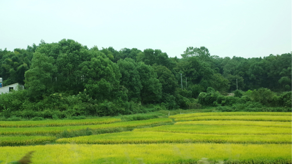 image003.jpg
