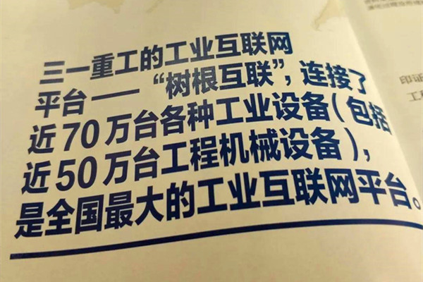 3_.jpg