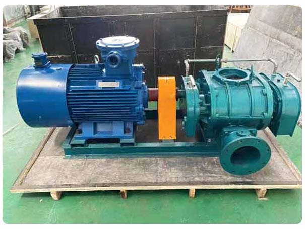 直聯(lián)傳動羅茨鼓風(fēng)機